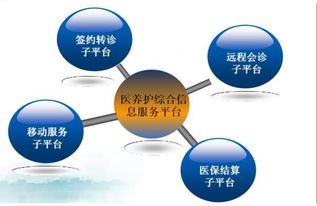 互聯網信息服務點亮生活 杭州“互聯網+益民服務”的創新實踐